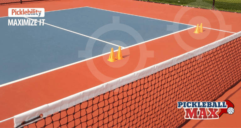 PickleballTargets-NVZ