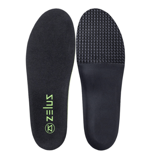 Zelus soles