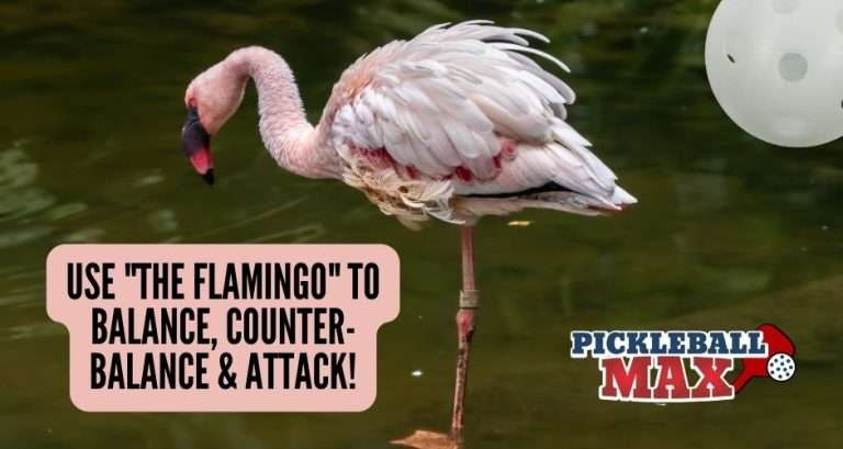 Pickleball Flamingo