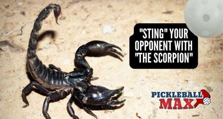 Scorpion