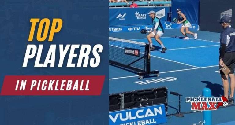 top pickleball players